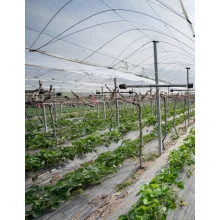 PE mezőgazdasági fólia 4200 x 0,12 x 80fm újrahasznosított natúr